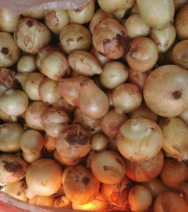 Onions