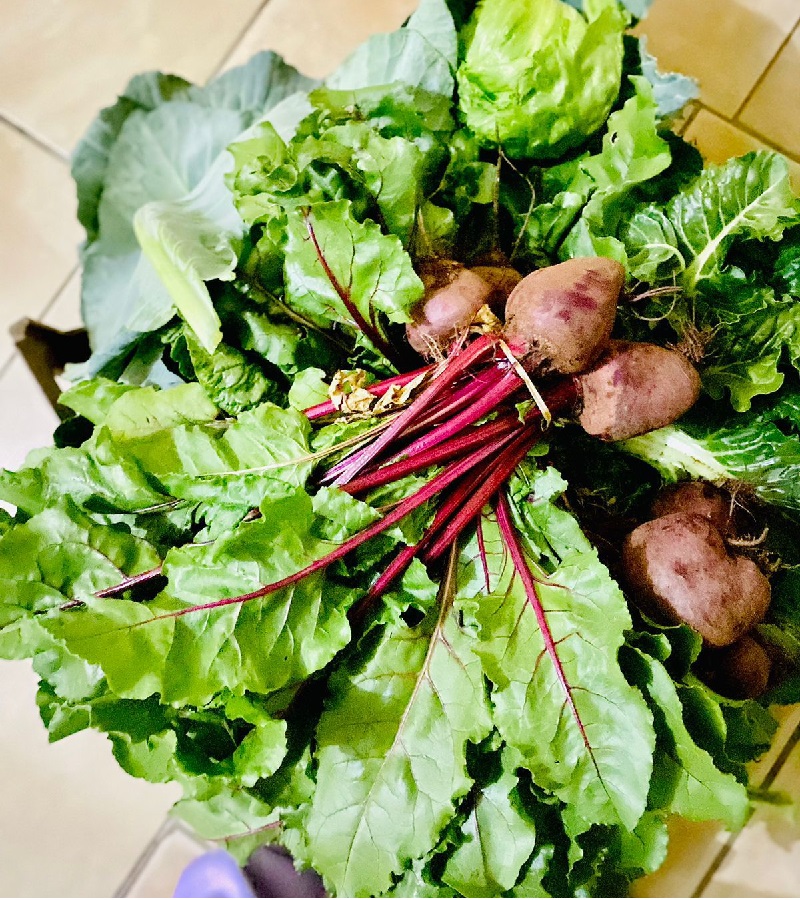 Veges